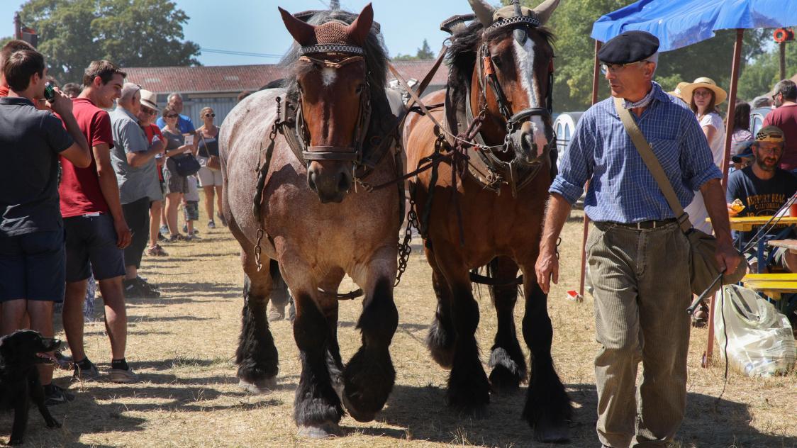 Fete Des Moissons Saint Remy Sur Bussy