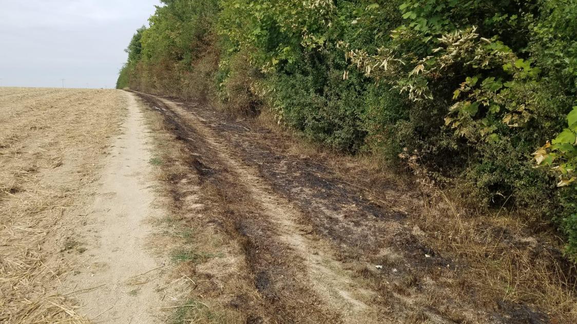 Une bande de végétation d’une centaine de mètres de long a brûlé.