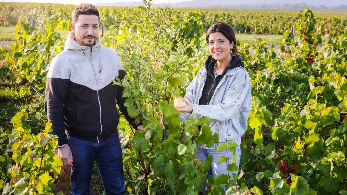 Yaël avec son frère Jonathan passent leur vignoble en vitiforesterie.