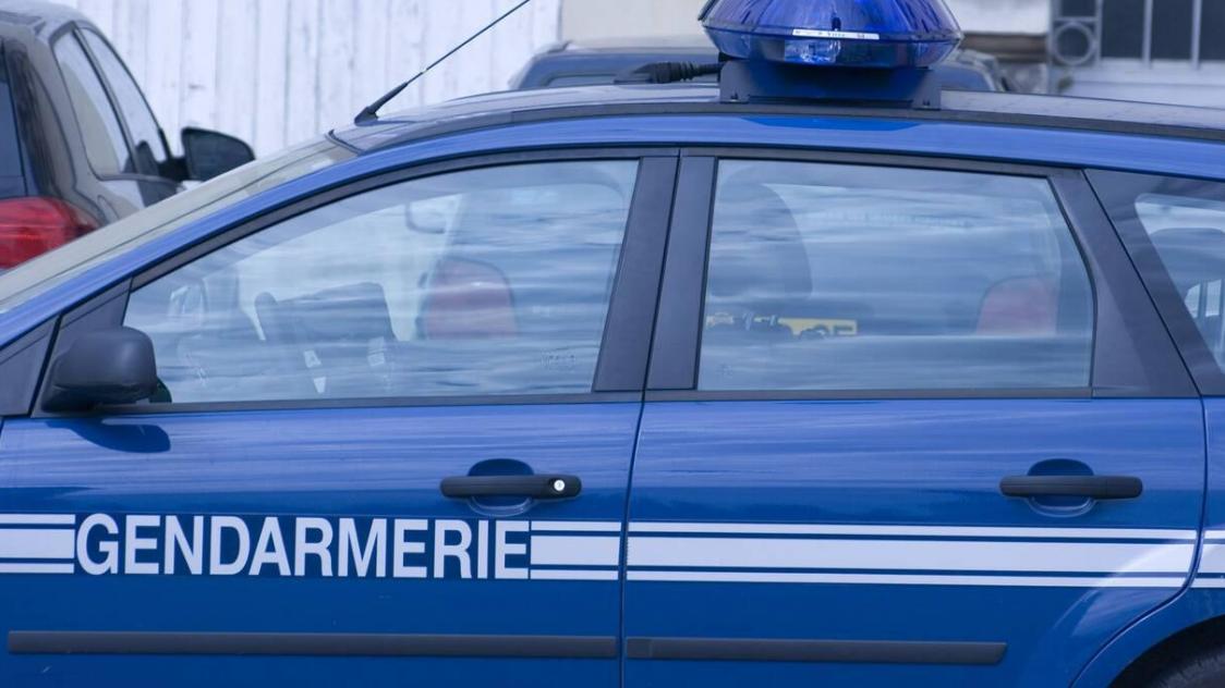 La gendarmerie de Villers-Cotterêts espère rapidement identifier l’automobiliste mis en cause.