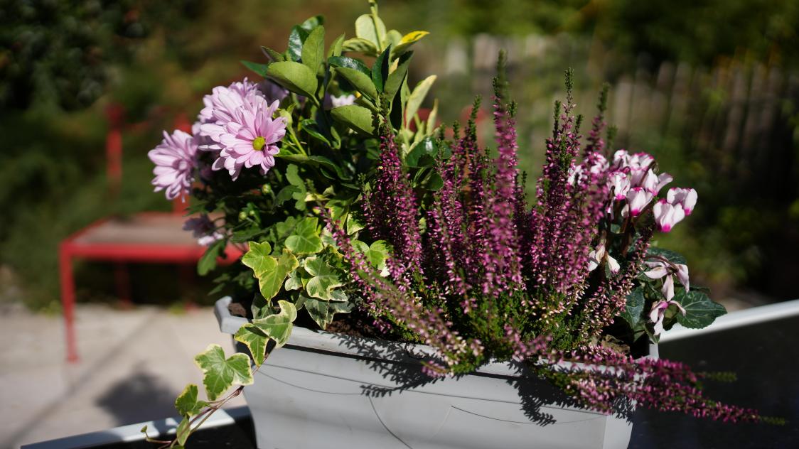 Actualité : Bac à fleurs extérieur - quelle est la jardinière idéale