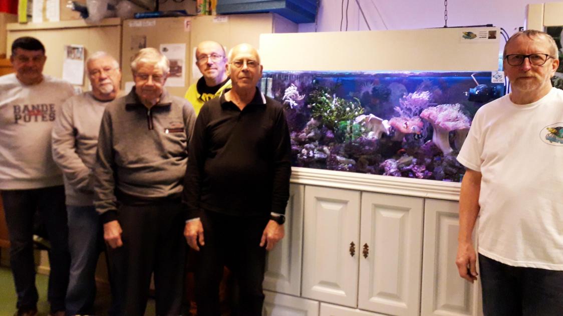 Plongée dans le monde de l'aquariophilie à La Chapelle-Saint-Luc
