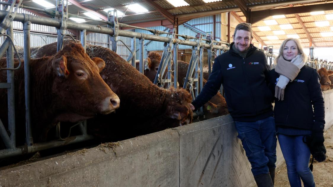 Combien de fermes de 1 000 vaches pour nourrir les Français ?