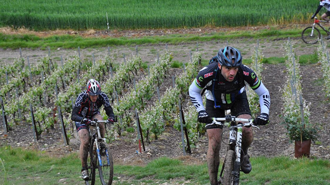 Vtt montagne de reims hotsell