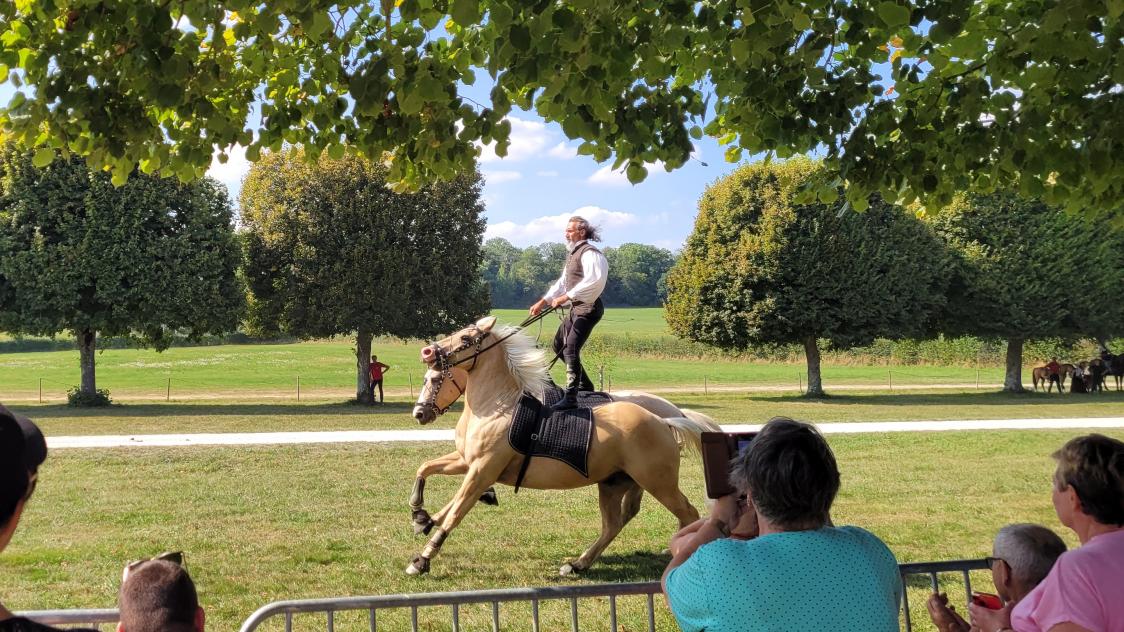 Des spectacles équestres de voltige ou dressage mais aussi de fauconnerie étaient proposés toute la journée.