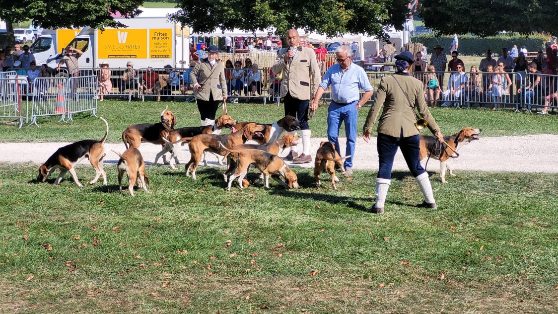 Un équipage de chasse aux lièvres venu de Picardie.