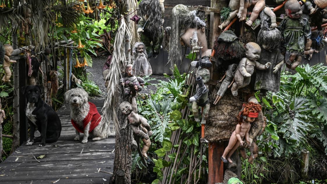 À Mexico, la macabre île des poupées qui a inspiré Tim Burton et