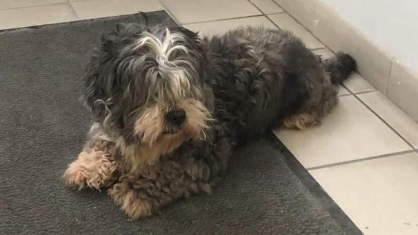 Magasin Coco Laon Vouziers Journal L Ardennais Abonne