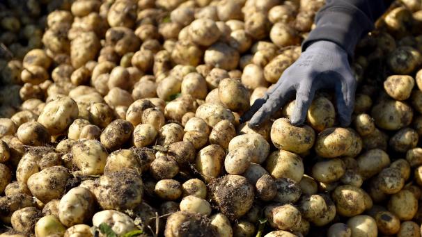 article journal l union