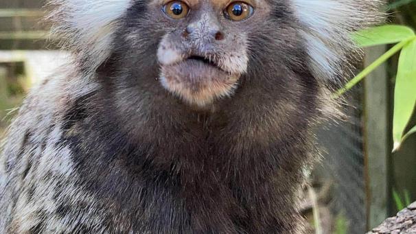 folembray aisne journal l ardennais