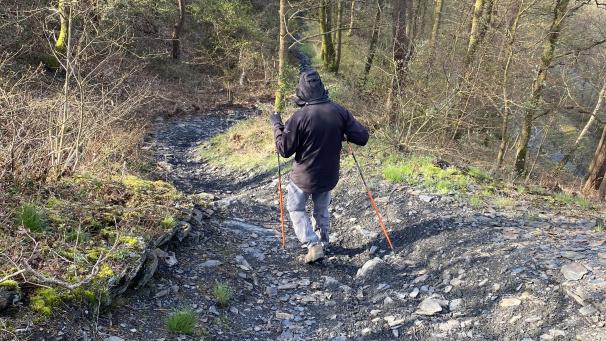 Issancourt-et-Rumel: le déboisement a débuté avant la ...