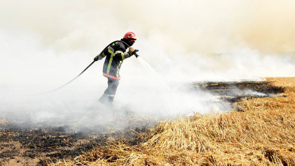 Les sapeurs-pompiers axonais avaient eu fort à faire le 19 juillet 2022, 26 feux de récoltes s’étant déclarés sur le département.