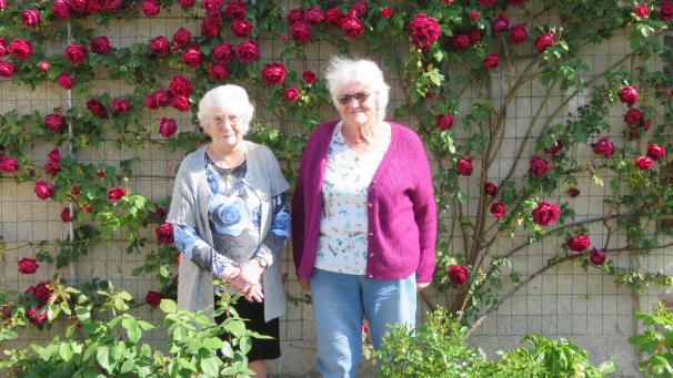 Solange Hisel et Mireille Delissus préparent l’exposition des roses avec les membres de l’association chaque année depuis vingt-cinq ans.