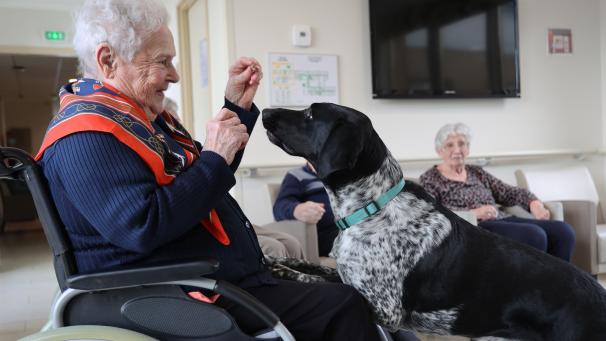 Un chien nommé Trust est présent toute la journée, au grand bonheur de la plupart des pensionnaires et du personnel soignant de l’Ehpad La Demoiselle, à Vouziers.
