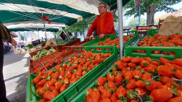 Parmi les produits les plus cultivés dans la région, les fraises.