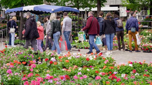 Le marché aux fleurs se déroule le premier dimanche du mois de mai de 8 à 17 heures sur la place Hugues-Plomb.