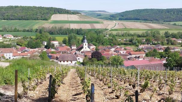 Le village d’Arrentières vu depuis les vignes.