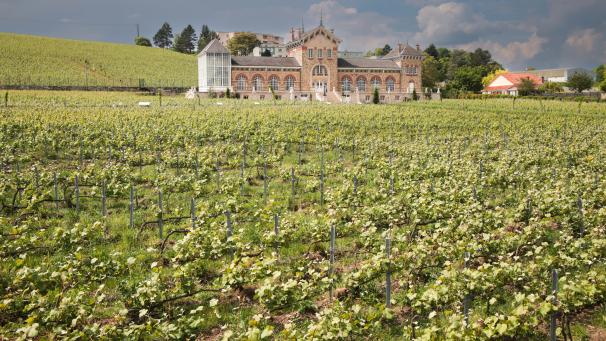 C’est au Fort Chabrol, au lieu de la recherche viticole qui devint le cœur de la lutte contre le phylloxéra au début du XXe siècle, que se trouve le barycentre de l’appellation champagne de la Marne.