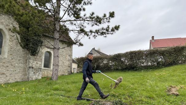Steeven Low s’assure de ne pas saisir les nids de chenilles processionnaires des pins avec ses mains.