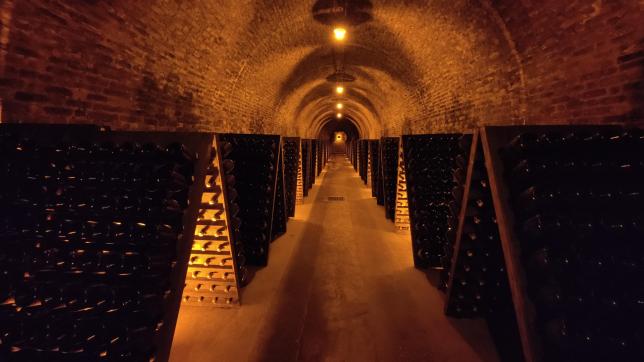 Dans ce « petit » caveau, plusieurs milliers de bouteilles de la cuvée La Perle d’Ayala.
