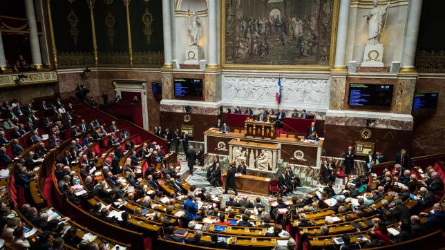 Les députés ont adopté le texte par 209 voix contre 46 avec le soutien de Les Républicains, du Parti socialiste et des écologistes, l’abstention du Rassemblement national et le vote contre de La France Insoumise.