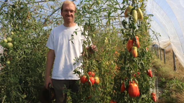 Julien Verneau gère à Fontenelle son exploitation maraîchère et de fraises. Il arrose au compte goutte dans les serres, et notamment les tomates coeur de boeuf.