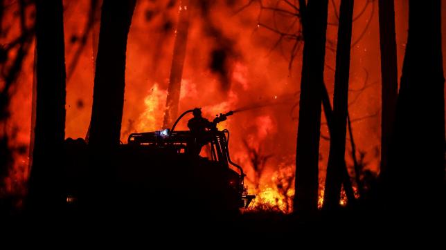 Le phénomène des feux de tourbe serait en partie responsable de la reprise des incendies.