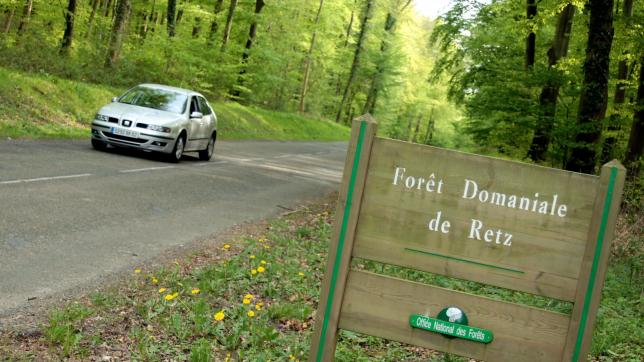 Les routes forestières restent interdites d’accès ce week-end dans l’Aisne.