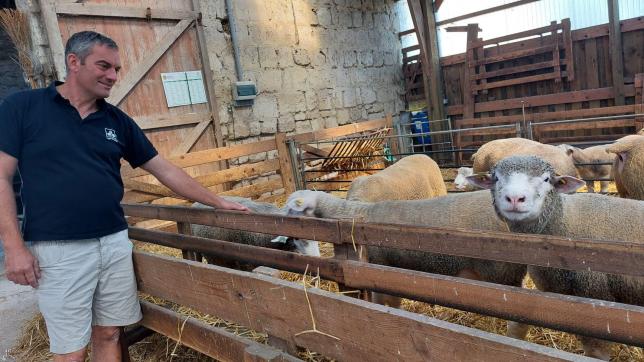 Emmanuel Fontaine est la tête d’un troupeau de 240 brebis et de 450 agneaux par an.