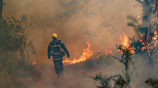 La Gironde a été touchée cet été par de nombreux incendies, dont deux majeurs à La Teste-de Buch et Landiras.