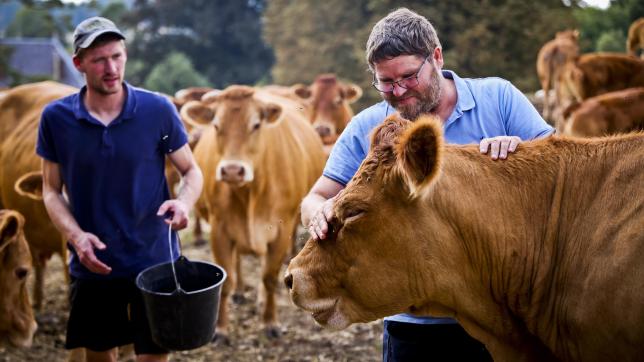 Pierre-Emmanuel Gossart avec son père Paul qui cajole sa vache préférée.