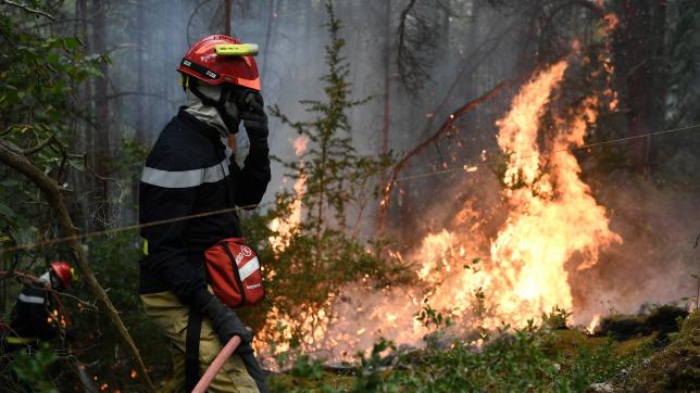 Les sapeurs-pompiers volontaires ont été particulièrement actifs cet été pour venir à bout des nombreux feux de forêts dans le sud-ouest de la France.
