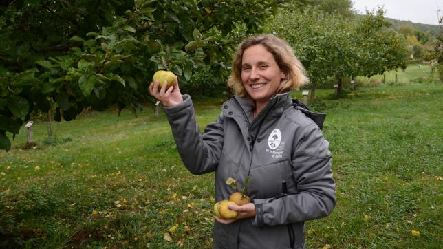 Les vergers de la maison du parc ont donné beaucoup de pommes cette année. Les visiteurs pourront en profiter gratuitement.  Archives