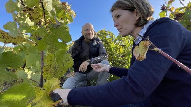 Les vignerons Clémence et Cyril Jeaunaux veulent acheter 0,82 hectare de vignes par le financement participatif.