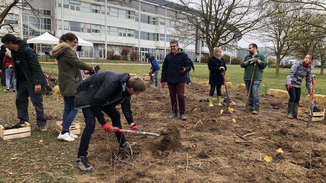 L’année dernière, à pareille époque, étudiants, personnels, doctorants se sont succédé pour planter 1 300 arbres à côté de l’UTT de Troyes.
