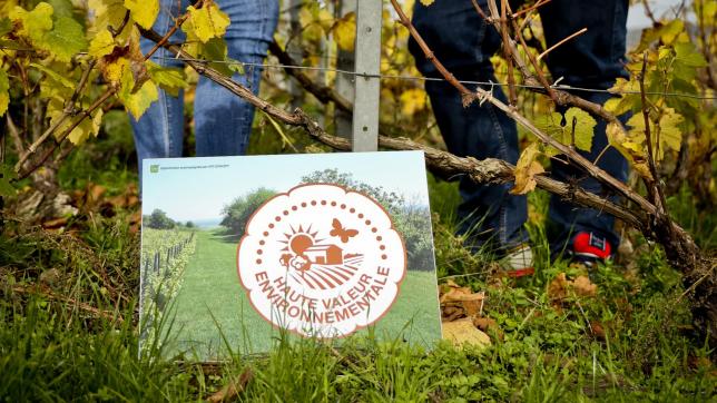 La viticulture est la filière la plus engagée au niveau de la HVE, représentant plus de 70% des exploitations certifiées au niveau national.