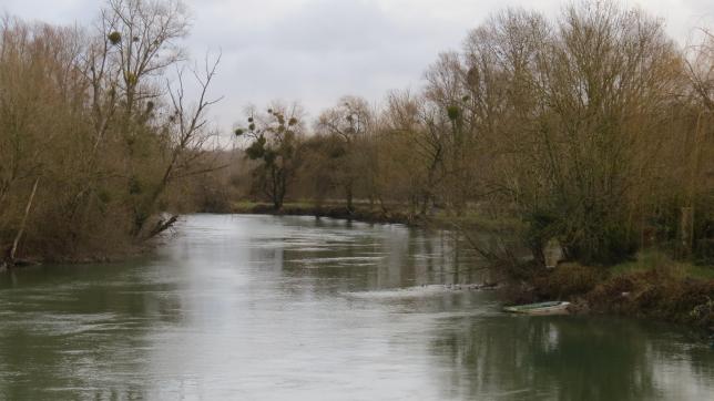 Marnay-sur-Seine est l’une des dix communes dont une partie du finage sera compris dans la future réserve de la Seine champenoise.