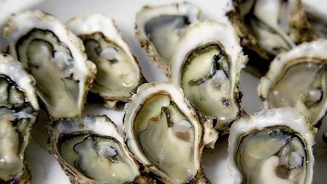 oyster-gd418279c5_1920