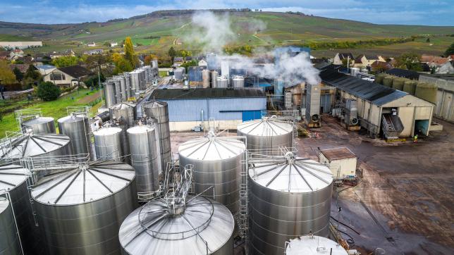 La distillerie Goyard, à Aÿ-Champagne, a traité 95000 tonnes d’aignes lors de la vendange 2022. Un «record».
