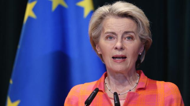 Ursula von der Leyen, la présidente de la Commission, souhaite aussi se pencher sur les avoirs publics.