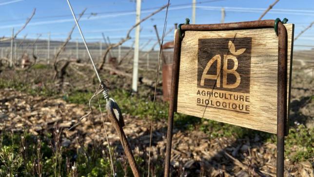 L’association des champagnes biologiques (ACB) réunit 65 vignerons et maisons de champagne. Elle est à l’initiative d’une tribune pour l’arrêt des herbicides en Champagne.