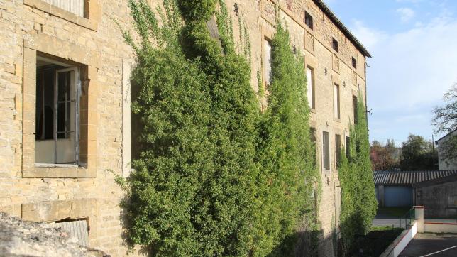Abandonné depuis les années 70, les murs de l’ancien bâtiment Biette sont aujourd’hui couverts de végétation.