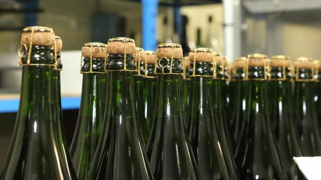 La bouteille est une part importante des émissions carbone de l’appellation. C’est loin d’être la seule.