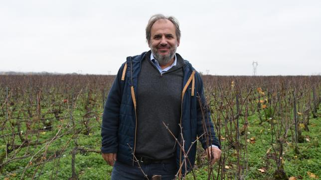 À Gueux, Jérôme Prévost cultive la parcelle des Béguines pour produire le champagne de La Closerie.