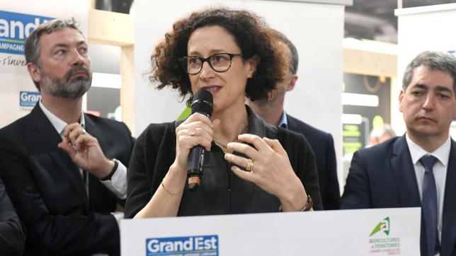 La présidente de la Commission de régulation de l’énergie (CRE) Emmanuelle Wargon.