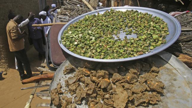 Le gombo est une plante tropicale notamment utilisée dans les plats créoles ou africains (photo au Soudan).AFP