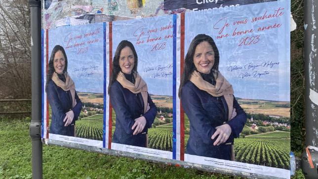 La députée a été menacée alors qu’elle collait des affiches aux Bordes-Aumont pour souhaiter une bonne année aux habitants de la deuxième circonscription de l’Aube, comme ici, à Saint-André-les-Vergers.