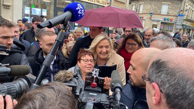 Marine Le Pen est venue soutenir la candidate Rassemblement national.