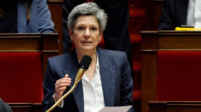 Lundi soir, la députée écologiste Sandrine Rousseau a assuré que son groupe allait retirer des amendements pour accélérer le rythme.