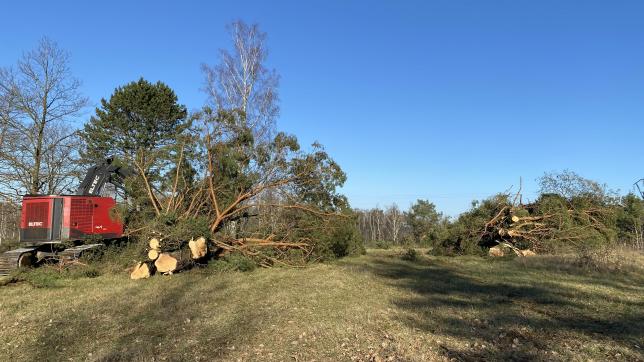 Une entreprise venue de Troyes a été chargée d’abattre les arbres. Un travail qui va permettre de restaurer les pelouses calcaires.